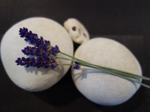 Das letzte Aufbäumen I