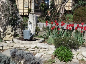 Ein Blumengruß aus dem Le Buisson bei Goult