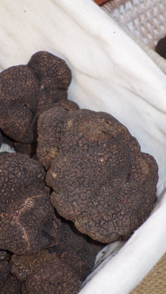 Was für eine Knolle