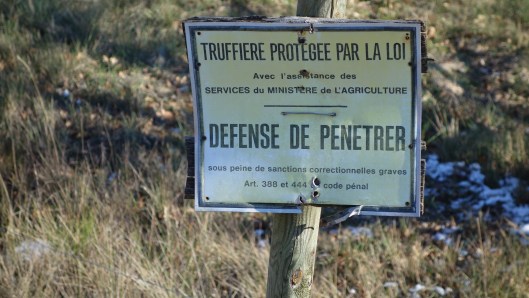 Die Trüffelplantage