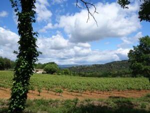 Tal am Fusse des Luberon bei Menerbes