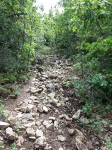 Steinige Wege im Luberon