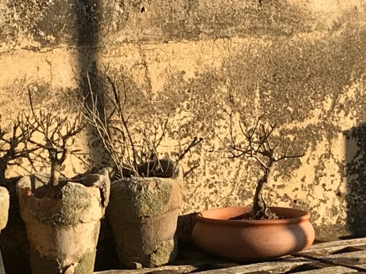 6HoCcE4vQTmhf5BB1%CSGg_thumb_d5b